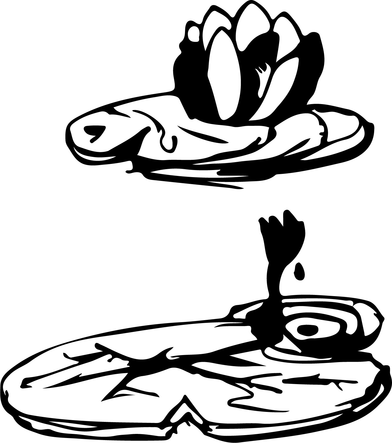 nenufars illustration